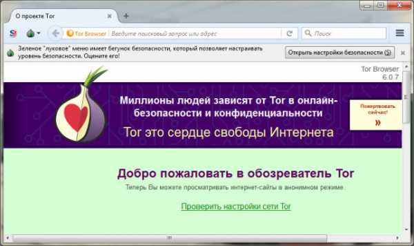 Tor browser для гидры